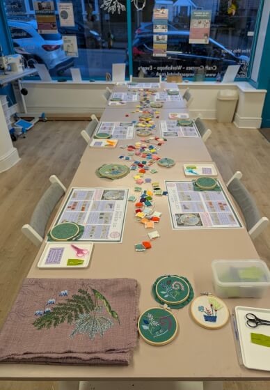 Beginner Embroidery Class