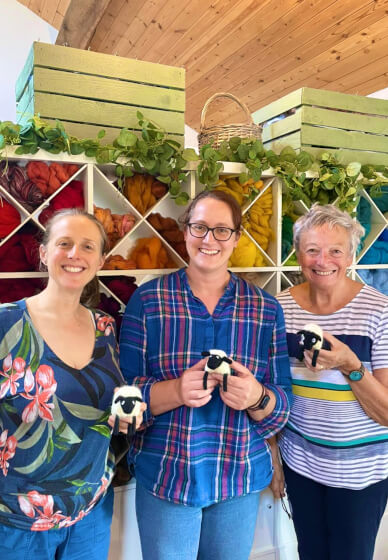 Beginners Needle Felt Sheep Workshop
