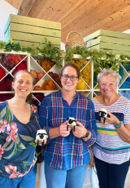 Beginners Needle Felt Sheep Workshop