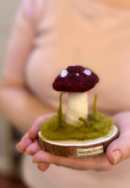 Beginners Needle Felted Mushroom Scene Workshop