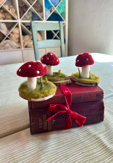 Beginners Needle Felted Mushroom Scene Workshop