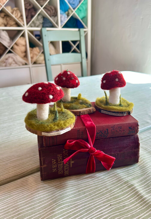 Beginners Needle Felted Mushroom Scene Workshop