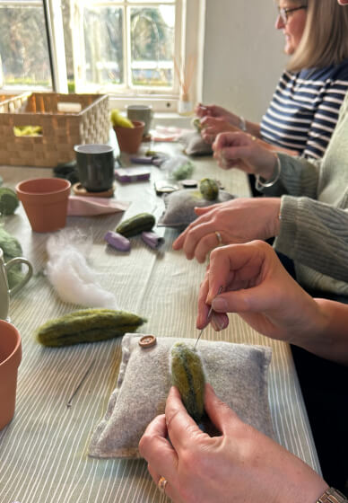 Beginners Needle Felted Potted Cactus Workshop