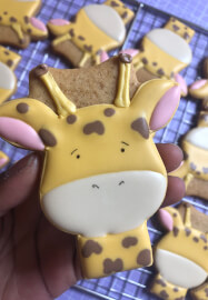 Bespoke Private Cookie Decorating Class