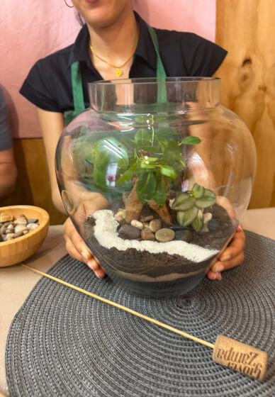 Bonsai Tree Terrarium Making Workshop