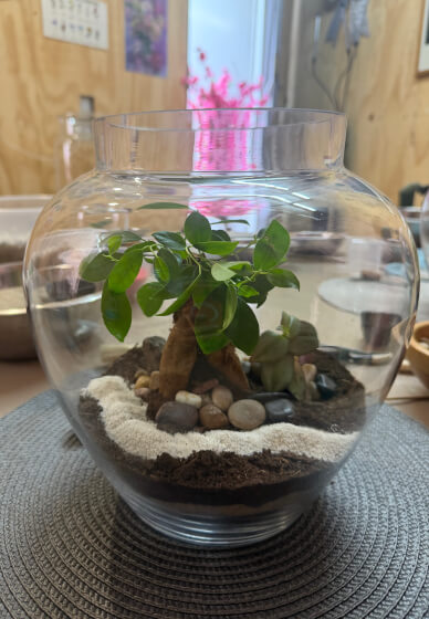 Bonsai Tree Terrarium Making Workshop