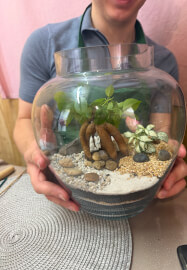 Bonsai Tree Terrarium Making Workshop