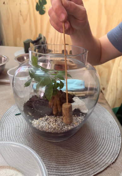 Bonsai Tree Terrarium Making Workshop