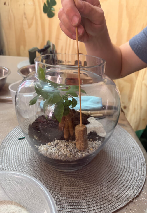 Bonsai Tree Terrarium Making Workshop