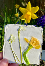 Botanical Bas-Relief Casting Workshop