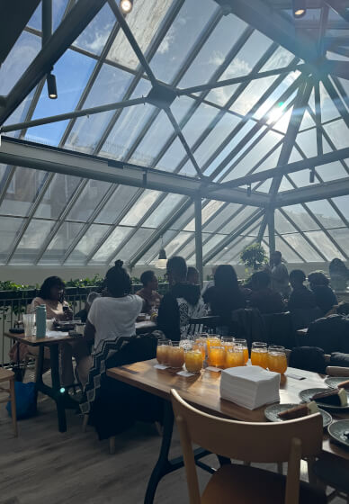 Botanical Body Butter Workshop
