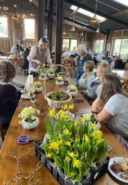 Botanical Creative Retreat Amongst the Sunflowers