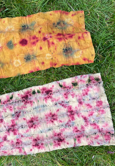 Botanical Dyeing Class for Children and Families