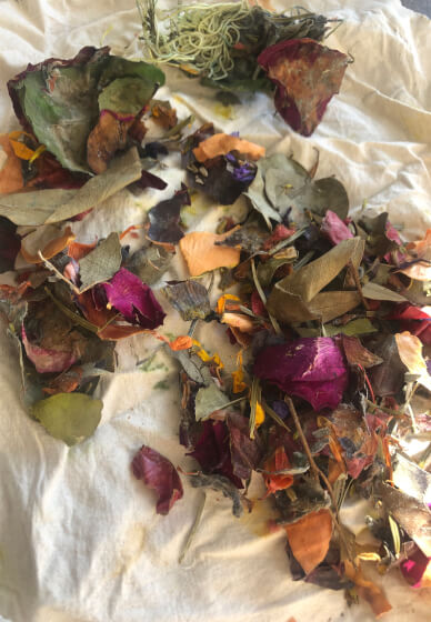Botanical Dyeing Class for Children and Families