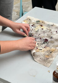 Botanical Dyeing Class for Children and Families