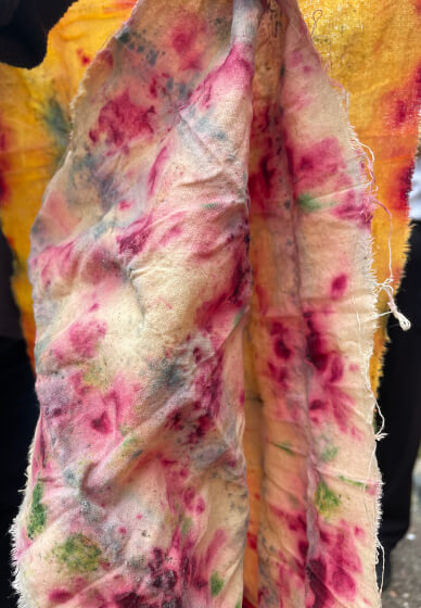Botanical Dyeing Class for Children and Families