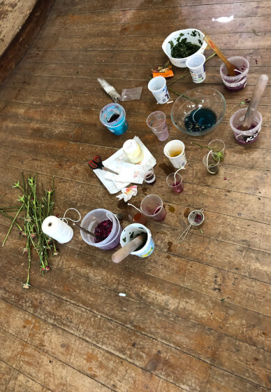 Botanical Dyeing Class for Children and Families