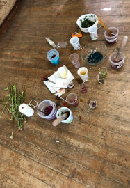 Botanical Dyeing Class for Children and Families