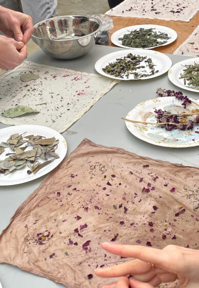 Botanical Dyeing Class for Children and Families