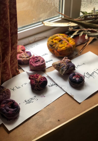 Botanical Dyeing Class for Children and Families
