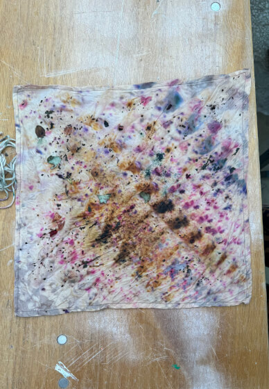 Botanical Dyeing Class for Children and Families