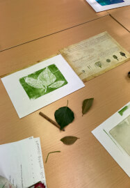 Botanical Gelli Pad Printing Workshop
