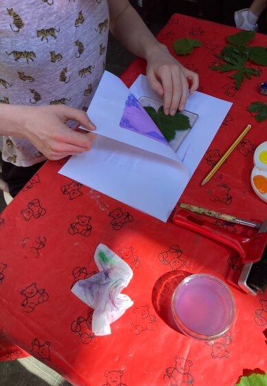 Botanical Gelli Pad Printing Workshop