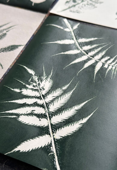 Botanical Screen Printing Workshop
