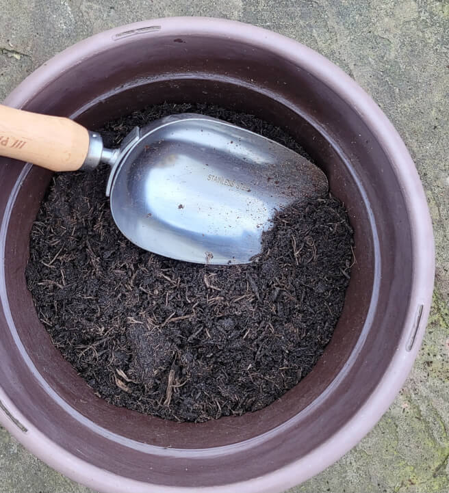 Bulb Lasagne Pot Workshop
