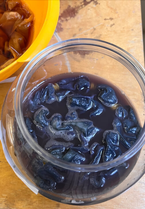 Bundle Dyeing Workshop Using Kitchen Waste