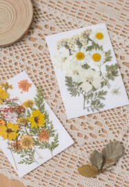 BYOB Botanical Crystal Soap Making Workshop – Make 4 Pieces