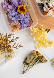 BYOB Botanical Crystal Soap Making Workshop – Make 4 Pieces