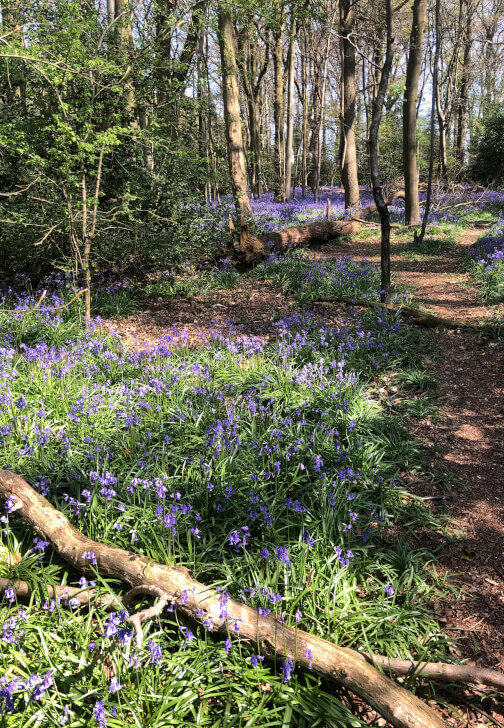Hand-Building Pottery Workshop in Hampshire