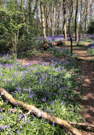 Hand-Building Pottery Workshop in Hampshire