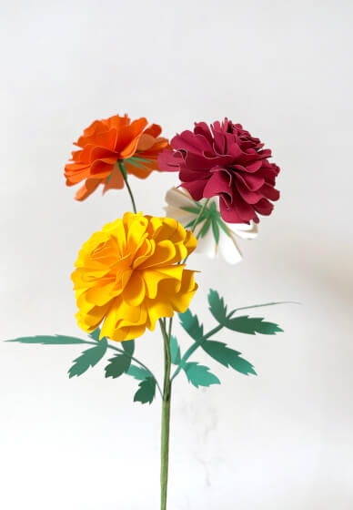 Cardstock Marigold Physical Workshop
