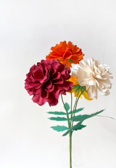Cardstock Marigold Physical Workshop