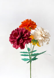 Cardstock Marigold Physical Workshop