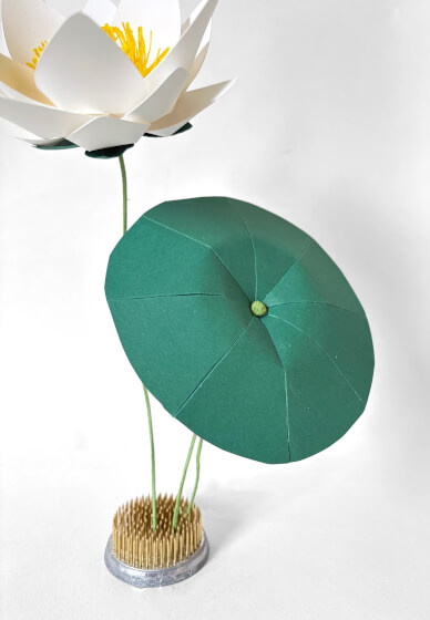 Cardstock White Lotus Physical Workshop