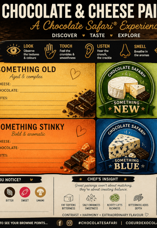 Chocolate and Cheese Pairing: A Guided Flavour Safari