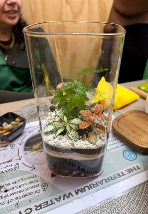 Closed Terrarium Making Workshop
