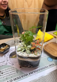 Closed Terrarium Making Workshop