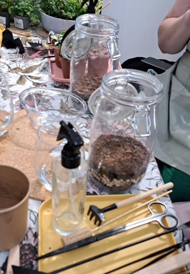 Closed Terrarium Workshop