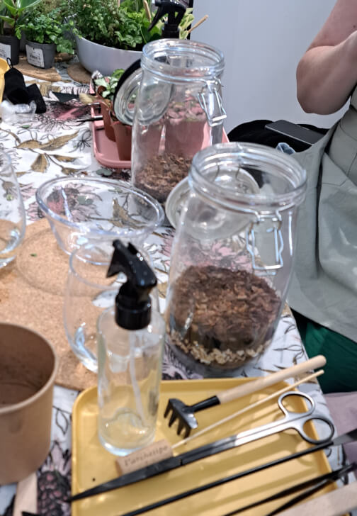 Closed Terrarium Workshop