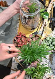 Closed Terrarium Workshop