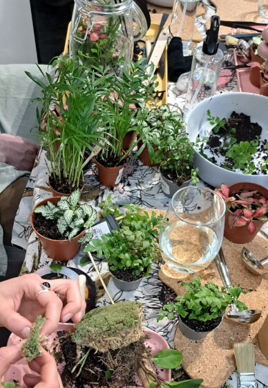 Closed Terrarium Workshop