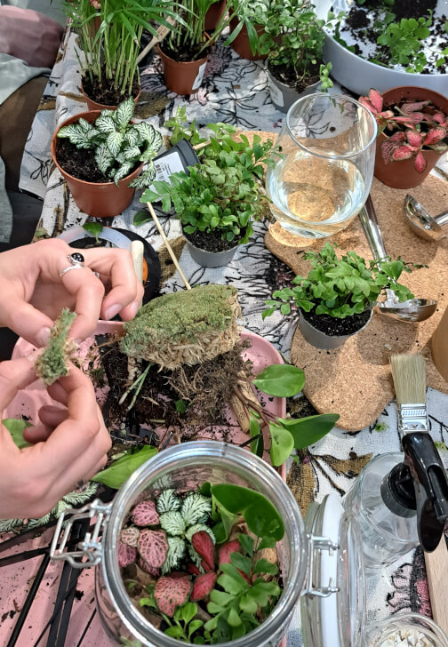 Closed Terrarium Workshop