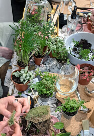 Closed Terrarium Workshop
