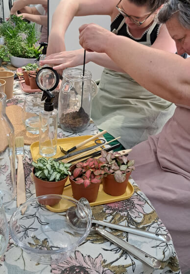 Closed Terrarium Workshop