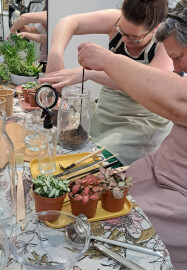 Closed Terrarium Workshop