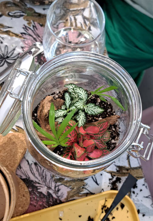 Closed Terrarium Workshop